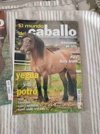 Pack 4 revistas el mundo del caballo