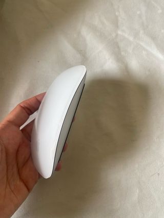 Ratón Magic Mouse 2 Apple Blanco