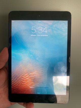 iPad Mini Apple Negro/Morado Sin cable