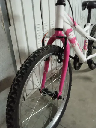 Bicicleta infantil DENBIKE 20 pulgadas