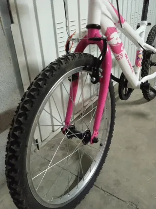 Bicicleta infantil DENBIKE 20 pulgadas