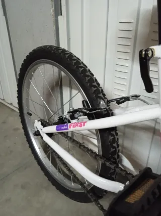 Bicicleta infantil DENBIKE 20 pulgadas