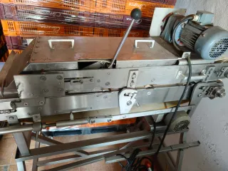 Aplanadora Selo para carne/pescado