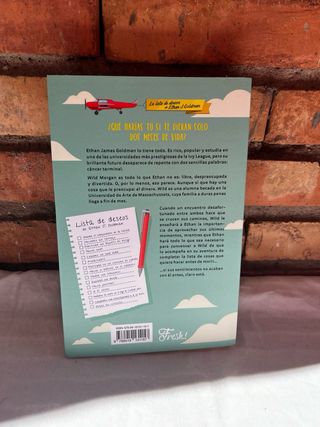 La lista de deseos de Ethan J. Goldman