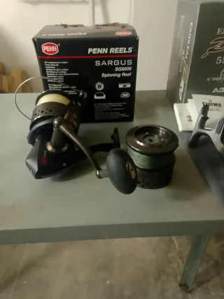 Mulinello Penn Sargus SG8000