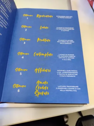 PICCOLA GUIDA ALLA GIOIA QUOTIDIANA