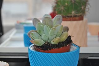 Maceta impresa 3D diseño geométrico