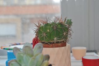 Maceta impresa 3D diseño geométrico