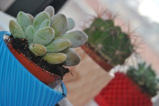 Maceta impresa 3D diseño geométrico