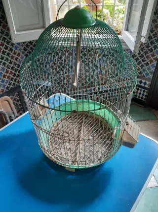 Jaula grande y jaulón para pájaros
