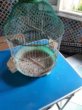 Jaula grande y jaulón para pájaros