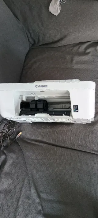 Canon Pixma MG2950 - Impresora multifunción.