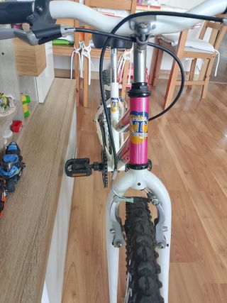 Bicicleta Trotter 20 Urge