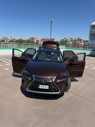 Lexus NX 2018