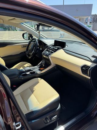 Lexus NX 2018