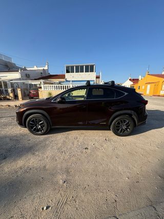 Lexus NX 2018