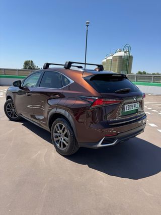 Lexus NX 2018