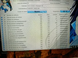 Western Digital WD Blue 1TB Disco duro interno