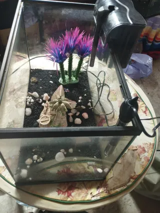 Pecera 80L, con calentador y con filtro de cascada