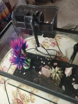 Pecera 80L, con calentador y con filtro de cascada