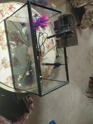 Pecera 80L, con calentador y con filtro de cascada