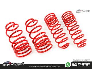 MUELLES DEPORTIVOS MTS TECHNIK MTSXHO100