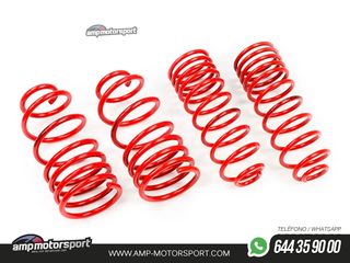 MUELLES DEPORTIVOS MTS TECHNIK MTSXVW433