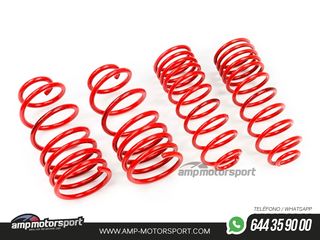 MUELLES DEPORTIVOS MTS TECHNIK MTSXFO081