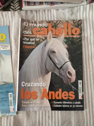 Pack 4 revistas el mundo del caballo