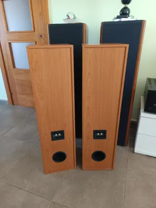 Altavoces Torre Madera Negro