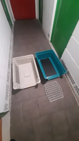 Transportín para perro beige y verde. En Oviedo.