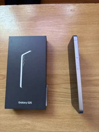 Samsung Galaxy S25 Plata