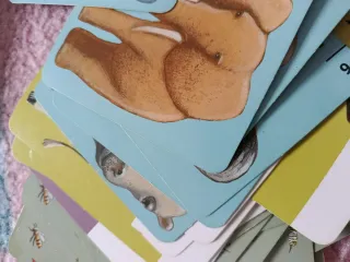 Juego de cartas Batanimo Djeco