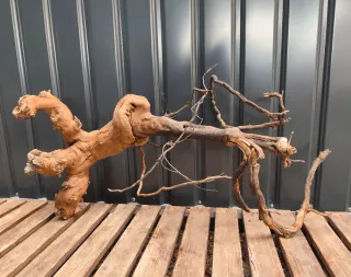 Raíz/tronco Decoración acuario