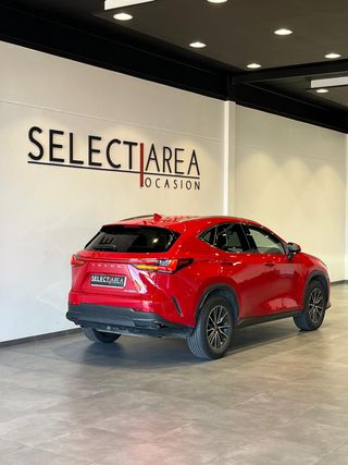 LEXUS NX 350H Executive 4WD- 2022