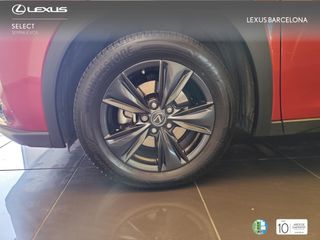 Lexus UX250H BUSINESS 2022 REF 8421