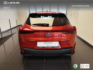 Lexus UX250H BUSINESS 2022 REF 8421