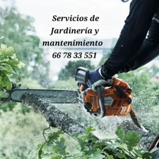 Talla y podar de árboles