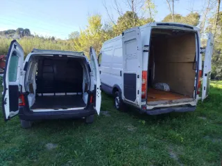 Talla y podar de árboles