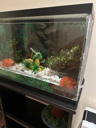 Acuario grande con mueble y decoración