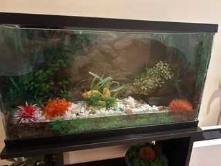 Acuario grande con mueble y decoración