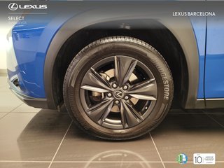 Lexus UX250H BUSINESS 2021 REF 0231