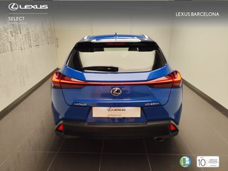 Lexus UX250H BUSINESS 2021 REF 0231