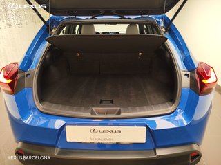 Lexus UX250H BUSINESS 2021 REF 0231