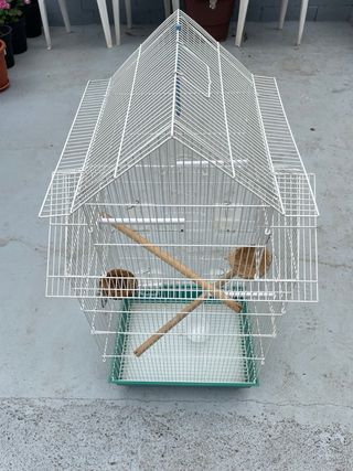 Jaula para pájaros blanca y verde