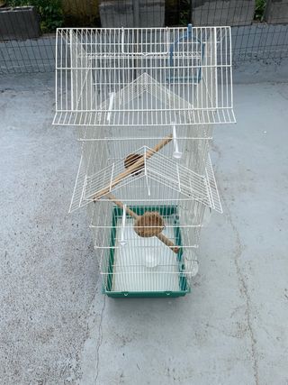 Jaula para pájaros blanca y verde
