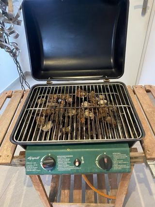 Barbacoa de Gas Portátil