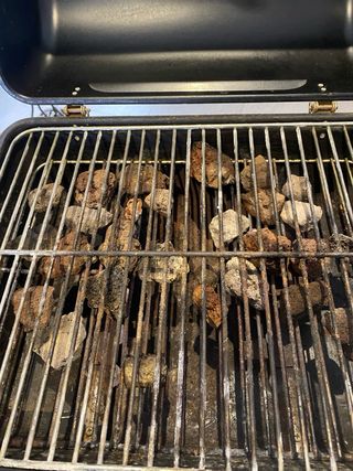 Barbacoa de Gas Portátil