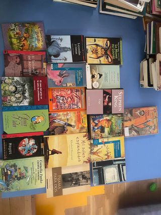 Libros, lote juvenil y clásicos