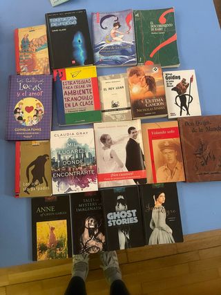 Libros, lote juvenil y clásicos